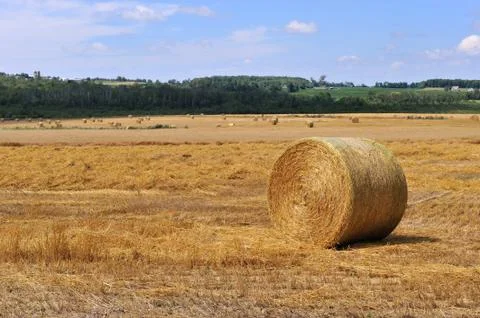 Straw Bale Stock Photos