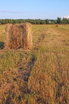Straw bale Stock Photos