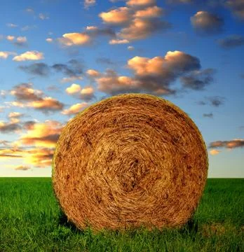 Straw bale  Stock Photos