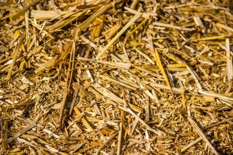 Straw bale Stock Photos