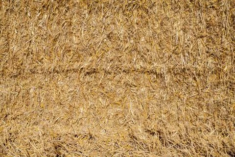 Straw bale Foto stock
