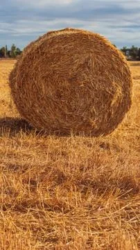Straw bale Stock Photos