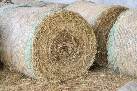 Straw bale rolled up Stock Photos