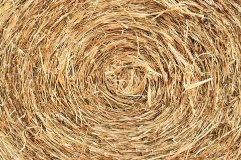 Straw bale rolled up straw bale rolled up Copyright: xZoonar.com/Solosergi... Stock Photos