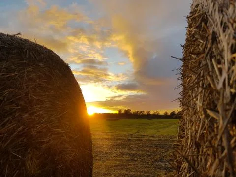 Straw bale in the sunset Stock Photos