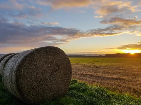 Straw bale in the sunset Stock Photos