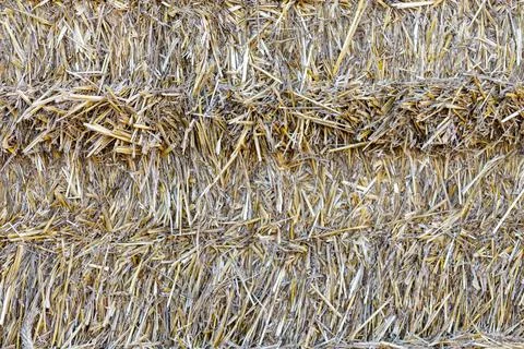 Straw Bale Texture Stock Photos