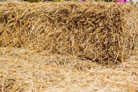 Straw bale wall texture background Foto stock