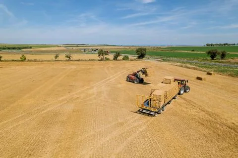 Straw is baled into large cylindrical shapes for easy handling and Stock Photos