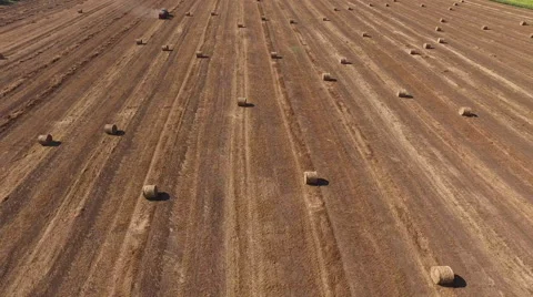 Straw Baler Machine on an Agricultural Field Stock Footage 65047668