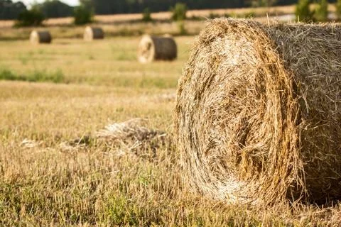 Straw bales on farmland Stock Photos