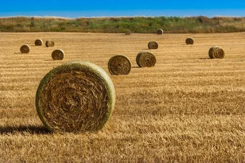 Straw bales on farmland Stock Photos