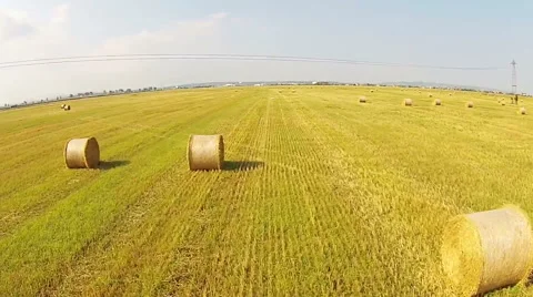Straw bales field Video stock 52508118
