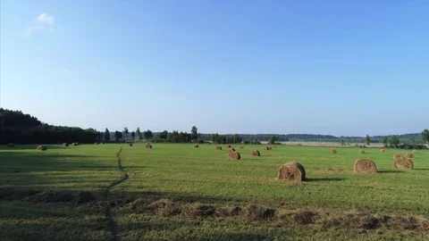 Straw bales on the field Video stock 83756044