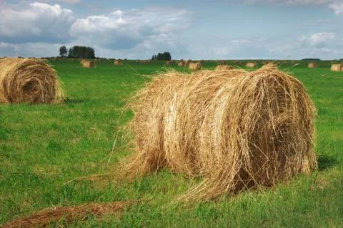 Straw bales on field Stock Photos