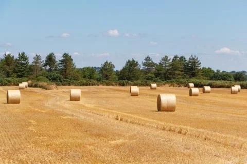 Straw bales in a field Stock Photos