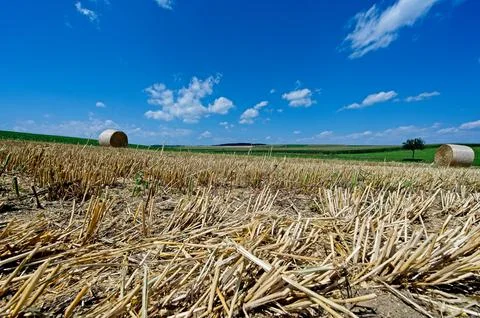 Straw bales on the field Stock Photos