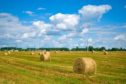 Straw bales in the field. Stock Photos
