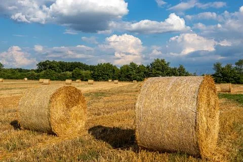 Straw bales in the field Stock Photos