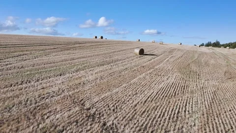 Straw bales in the fields from a drone, Southeast Scotland Stock-Footage 317346091