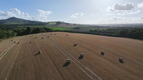 Straw bales in the fields from a drone, Southeast Scotland Stock-Footage 317346140