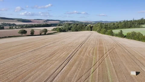Straw bales in the fields from a drone, Southeast Scotland Stock-Footage 317346212