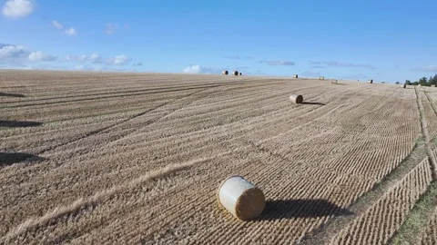 Straw bales in the fields from a drone, Southeast Scotland Stock-Footage 317346294