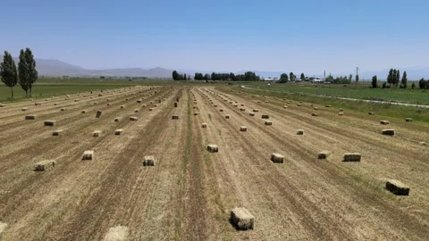 Straw bales fields Video stock 240738585