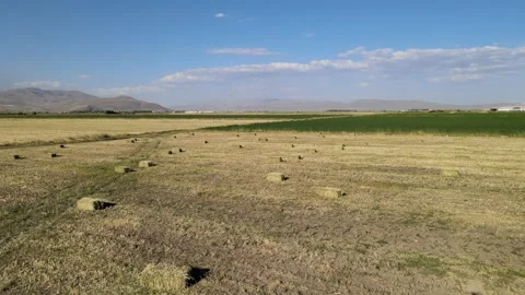 Straw bales fields Stock Footage 240753677