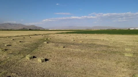 Straw bales fields Stock Footage 240753788