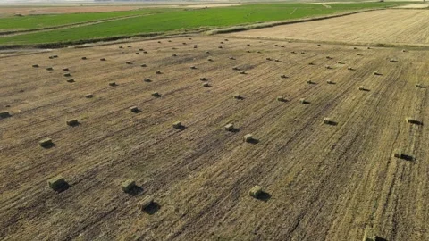 Straw bales fields Video stock 240755285
