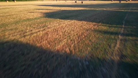 Straw bales Video stock 158844707