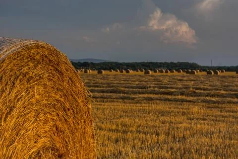 Straw bales in a landscape while warm sunset Stock Photos