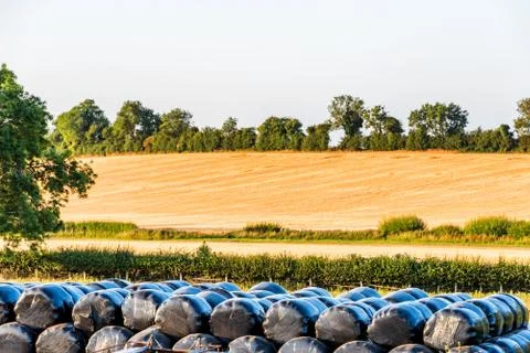 Straw bales packed over empty british field Photos