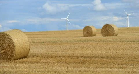 Straw bales Stock Photos