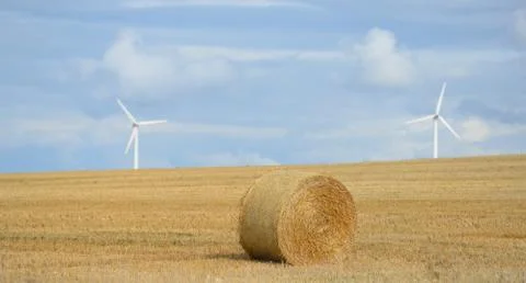 Straw bales Stock Photos