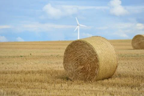 Straw bales Stock Photos