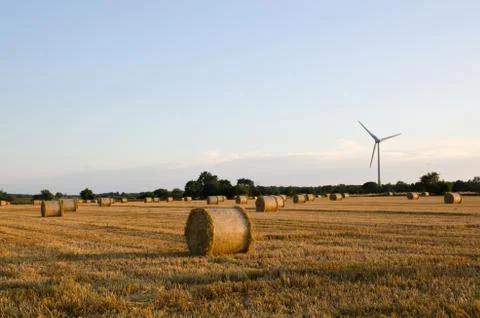 Straw bales Stock Photos