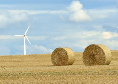 Straw bales Stock Photos