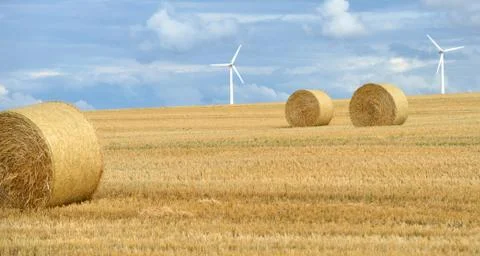 Straw bales Stock Photos