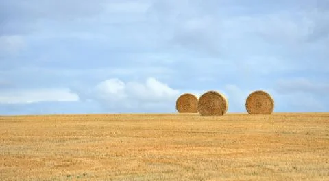 Straw bales Stock Photos