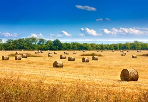 Straw bales Foto stock