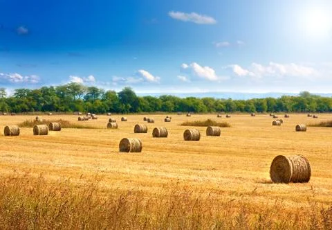 Straw bales Stock Photos