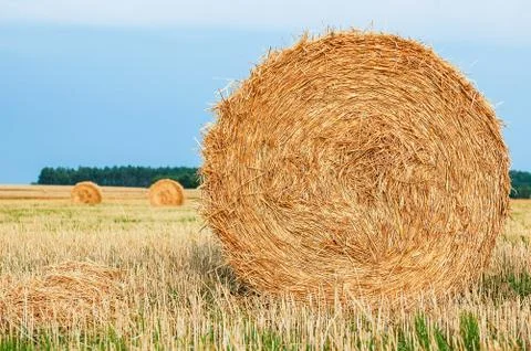 Straw bales Stock Photos