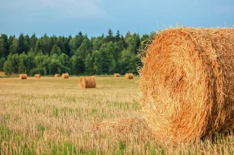 Straw bales Stock Photos