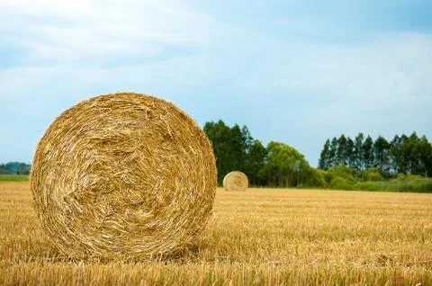 Straw bales Stock Photos