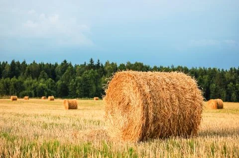 Straw bales Stock Photos