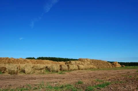 Straw bales Stock Photos
