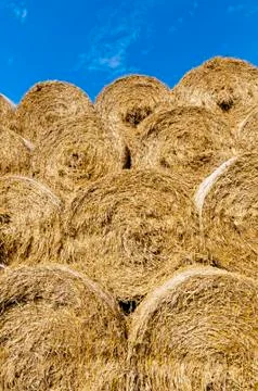 Straw bales Stock Photos