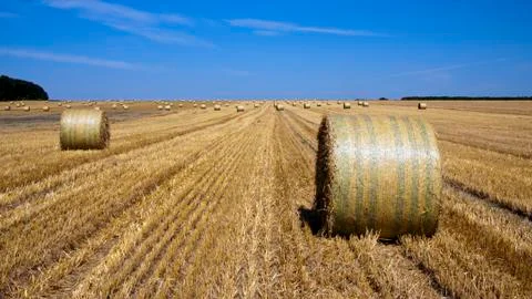 Straw bales Foto stock